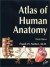Atlas of Human Anatomy, Third Edition