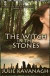 The Witch in the Stones: Volume 2 (Wicked on the Wind)
