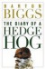 The Diary Of A Hedge Hog