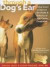 Through a Dog's Ear: Using Sound to Improve the Health & Behavior of Your Canine Companion