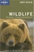 Lonely Planet Wildlife Photography: A Guide to Taking Better Pictures