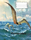 Pteranodon a Large Creature in Wide Rule Lined Paper Composition Book: The Cover Is a Large Flying Creature, Composition Book Is Used by Students in E