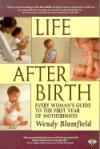 Life After Birth: Every Woman's Guide to the First Year of Motherhood (Women's Health & Parenting)