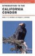 Introduction to the California Condor (California Natural History Guides)
