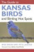 The Guide to Kansas Birds and Birding Hot Spot
