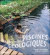 Les plus belles piscines écologiques : Exemples de réalisation, technique, entretien