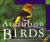 Audubon Birds Calendar 2006