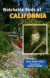 Watchable Birds of California (Watchable Bird Series)