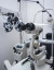 Notebook: Optometry optometrist eye exam eye doctor optician ophthalmologist ophthalmology
