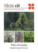 Träd och buskar : månghundraårig historieberättare -- Bok 9789172096769