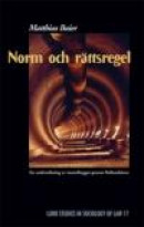 Norm och rättsregel, En undersökning av tunnelbygget genom Hallandsåsen -- Bok 9789172671447