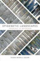 Epigenetic Landscapes: Drawings as Metaphor -- Bok 9780822368601