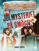 Julmysteriet på Smögen -- Bok 9789177993605