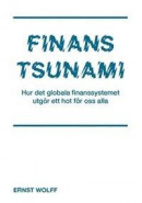 Finanstsunami : hur det globala finanssystemet utgör ett hot för oss alla -- Bok 9789178192069