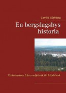 En bergslagsbys historia: Vintermossen från svedjebruk till fritidsbruk -- Bok 9789178512904