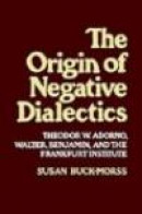 The Origin of Negative Dialectics: Theodore W. Adorno, Walter Benjamin, and the Frankfurt Institute -- Bok 9780029051504