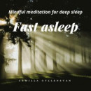 Fast Asleep -- Bok 9789189011922