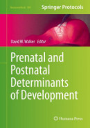Prenatal and Postnatal Determinants of Development -- Bok 9781493930142