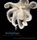Archipelago : Portraits of Life in the World#s Most Remote Island Sanctuary -- Bok 9780792241881