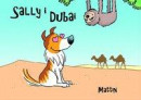 Sally i Dubai -- Bok 9789175331997