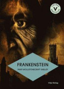 Frankenstein (lättläst) -- Bok 9789179493073