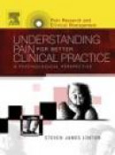 Understanding Pain for Better Clinical Practise -- Bok 9780444515919