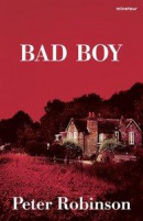 Bad boy -- Bok 9789137159003