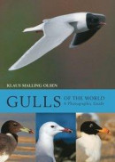 Gulls of the World -- Bok 9781408189108