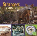 Strangest Animals in the World -- Bok 9781406293210