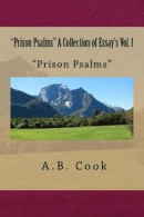 Prison Psalms a Collection of Essay's Vol. 1: Essay's, Psalms, Collection, Vol.1, Prison -- Bok 9781985381773