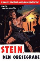 Stein, den obesegrade - berättelse från yngre stenåldern -- Bok 9789132183812