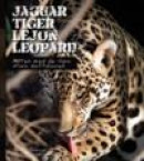Jaguar, tiger, lejon, leopard - möten med de fyra stora kattdjuren -- Bok 9789197554275