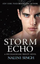 Storm Echo -- Bok 9781399604529