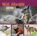 Most Adorable Animals in the World -- Bok 9781406293203