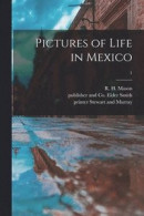 Pictures of Life in Mexico; 1 -- Bok 9781013823411