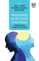 Neurodisability and the Criminal Justice System -- Bok 9781789907629
