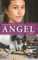 Angel: Through My Eyes - Natural Disaster Zones -- Bok 9781911631149