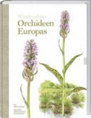 Wunderschöne Orchideen Europas -- Bok 9783784354934
