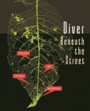 Diver Beneath the Street -- Bok 9780814351123
