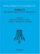 Rotifera X: Rotifer Research: Trends, New Tools and Recent Advances (Developments in Hydrobiology) ( -- Bok 9781402034930