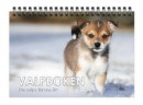 Valpboken, din hunds första år -- Bok 9789198564457