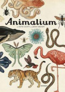 Animalium -- Bok 9789129697148