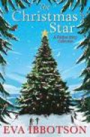 The Christmas Star: A Festive Story Collection -- Bok 9781447287346