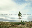 Oldest Living Things in the World -- Bok 9780226057644