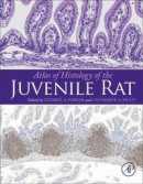 Atlas of Histology of the Juvenile Rat -- Bok 9780128026960