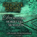 Det mystiska mordet vid skogssjön (Sherlock Holmes samlade bedrifter) -- Bok 9789180198424