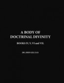A Body Of Doctrinal Divinity, Book IV, V, VI and VII -- Bok 9781447784777