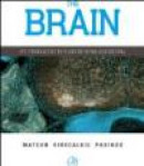 The Brain: An Introduction to Functional Neuroanatomy -- Bok 9780123738899