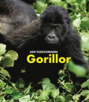 Gorillor: en spännande upptäcktsresa i Kongo -- Bok 9789198559408