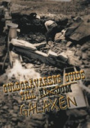 Guldgrävarens guide till galaxen : En bok om guldvaskning -- Bok 9789174638189